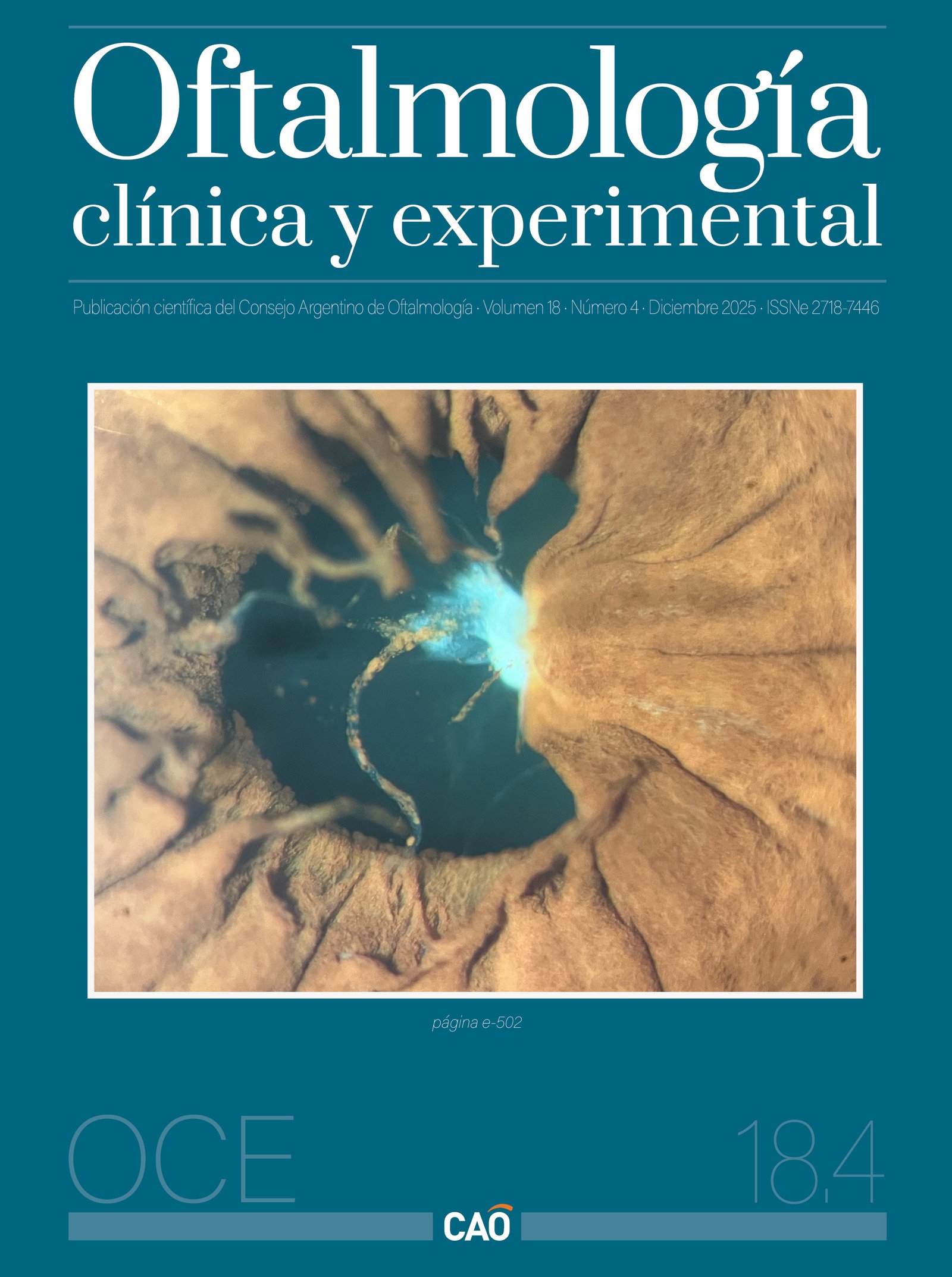 					Ver Vol. 18 Núm. 4 (2025)
				